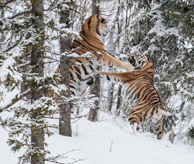 Фото приколы дня