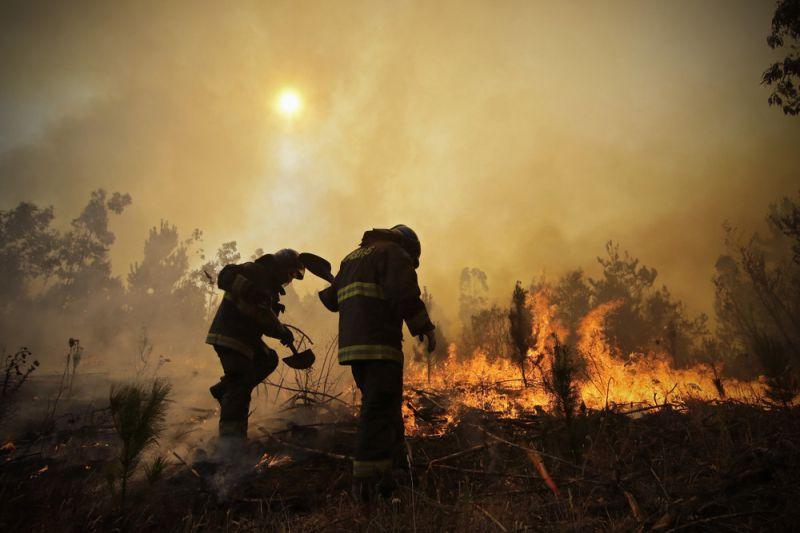 Лесные пожары в Чили: гибнут люди и города