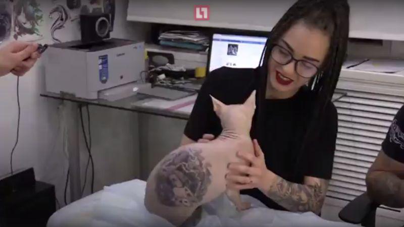 Татуировщик набил своему коту четыре тюремных наколки