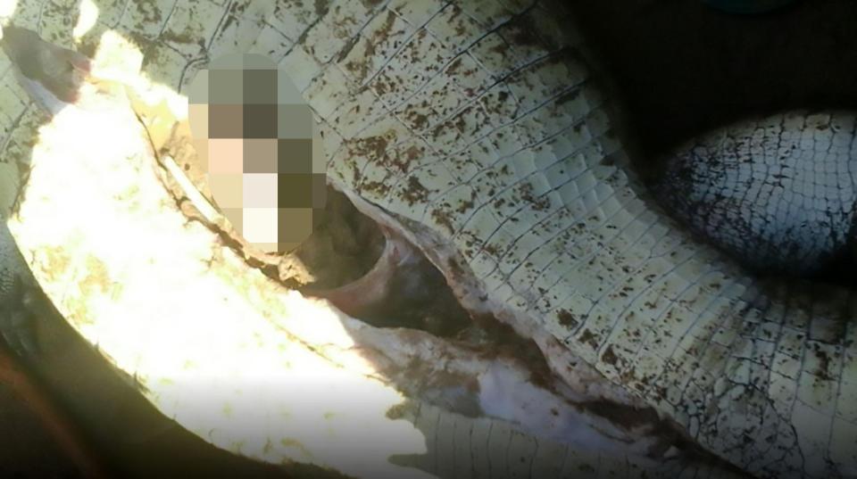 Останки восьмилетнего мальчика нашли в желудке крокодила
