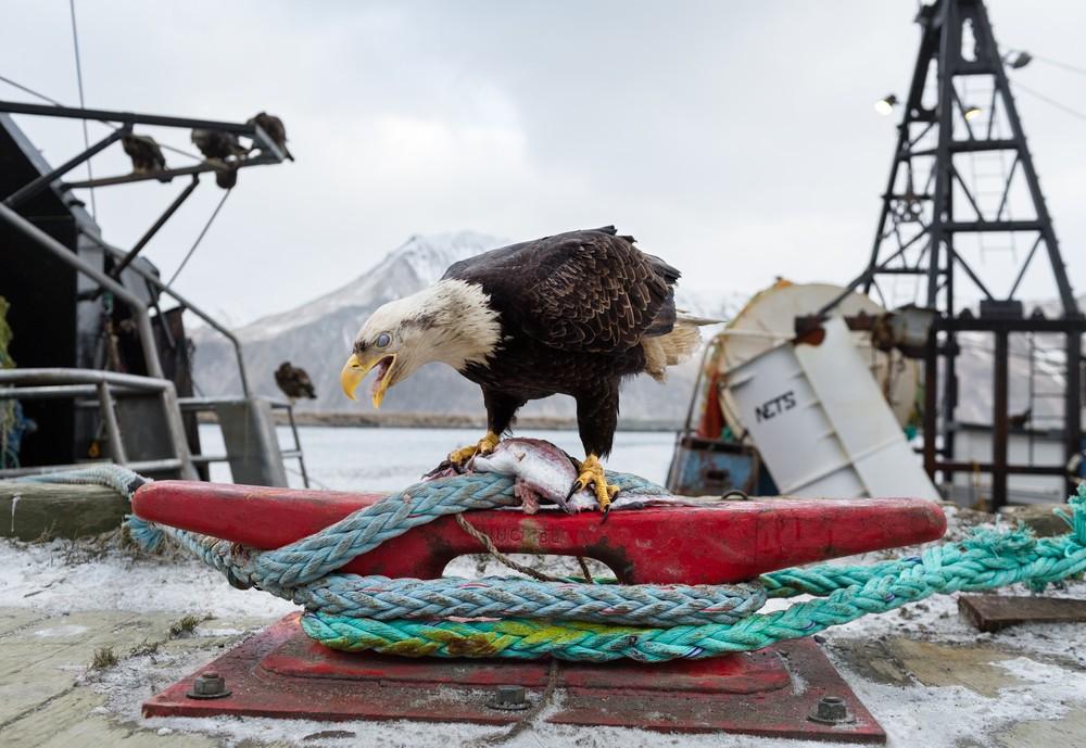 Суровая жизнь рыбаков Аляски