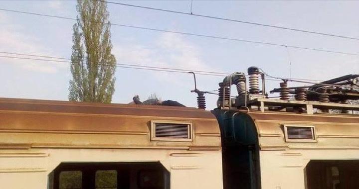Киевский зацепер сгорел на крыше электрички
