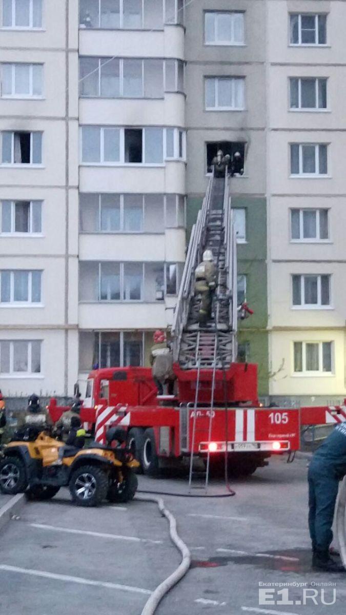 При пожаре в Екатеринбурге мужчина отказался покидать горящую квартиру, но выкинул из окна кошку