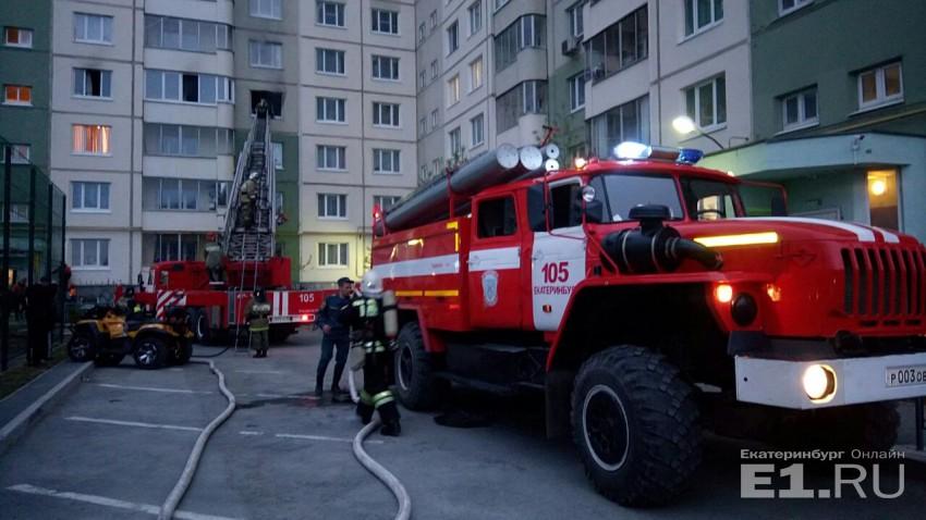 При пожаре в Екатеринбурге мужчина отказался покидать горящую квартиру, но выкинул из окна кошку