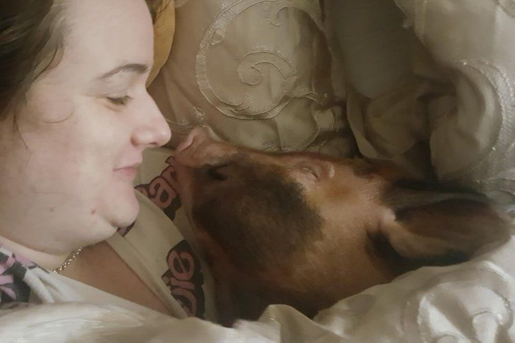 Семейная пара ради сына спит в кровати со свиньей и скунсом