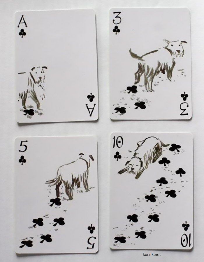 Первые игральные карты для любителей собак