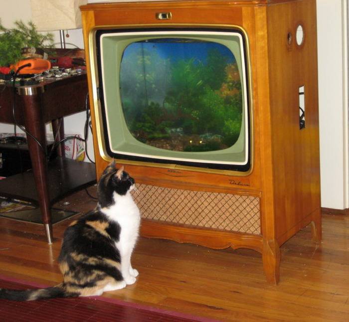 Что можно сделать из старого телевизора