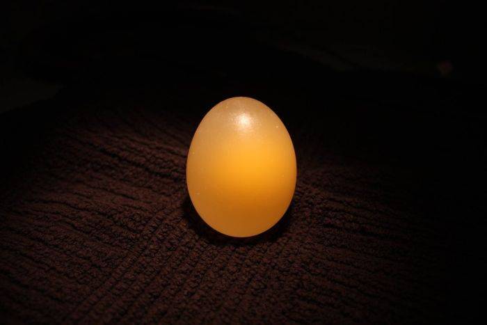 Куриное яйцо в уксусной кислоте