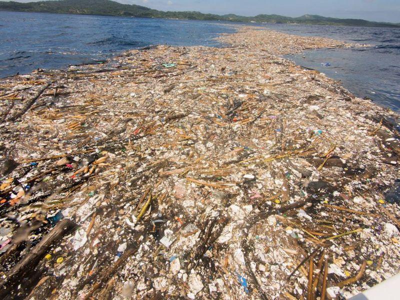 О загрязнении планеты на примере мусорного острова в Карибском море