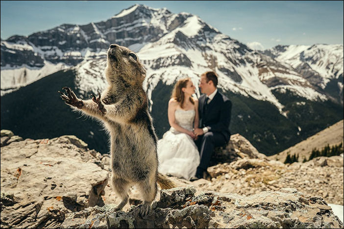 Забавные свадебные фото, которые получились случайно