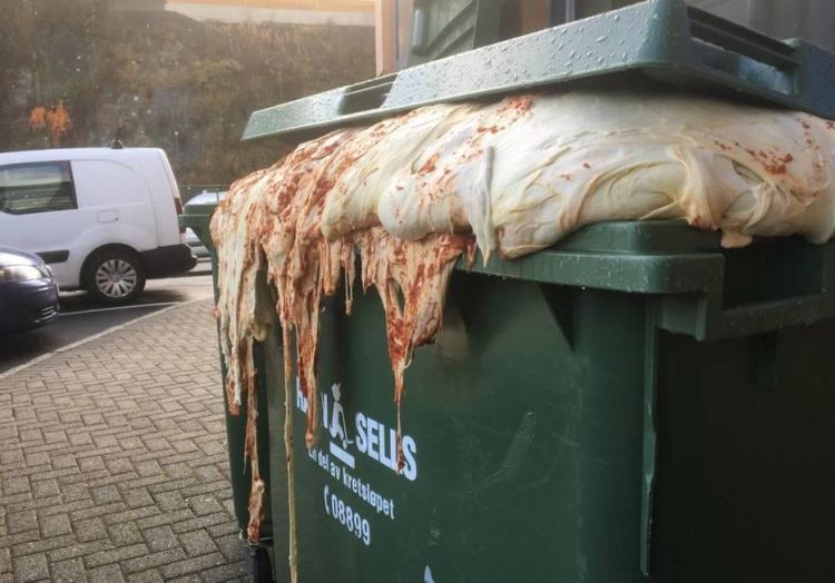 Пиццерия выбросила негодное тесто и напугала местных жителей