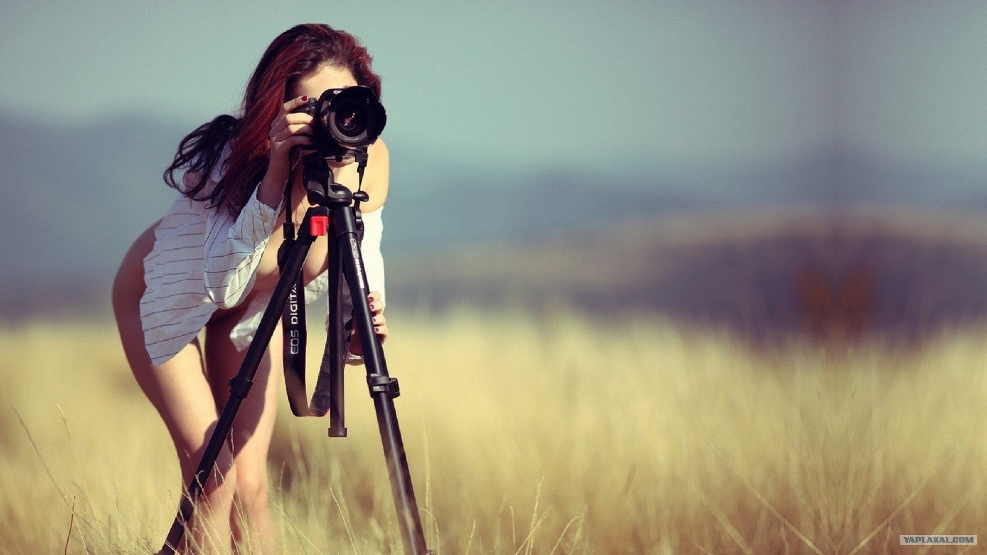 Amateur photographer guide