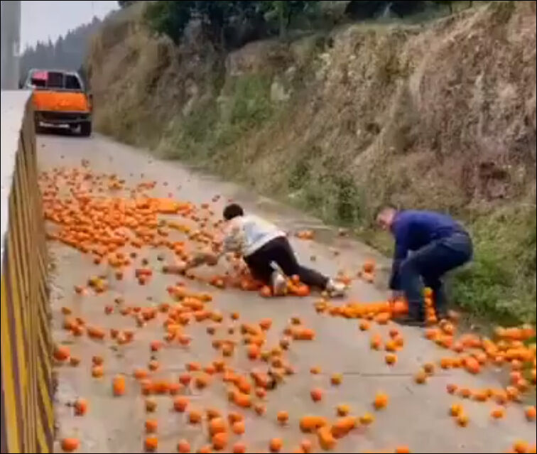 Лови апельсины!