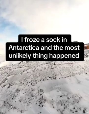 Как развлекаются в Антарктике⁠⁠