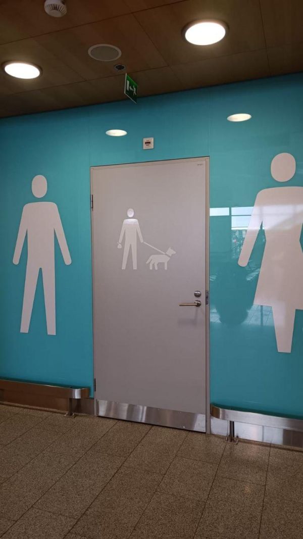 Как выглядит туалет для собак в Европе