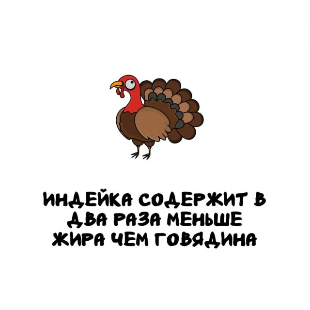 Интересные факты на все случаи жизни (15 фото)