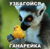 Аватар fahrt