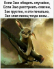 Аватар altyalty