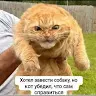 Аватар Филимон