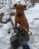 Аватар Уверенный Пользователь ПК
