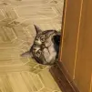 Аватар Ima185
