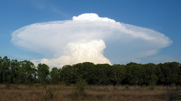 Облако казалось застыло. Облака похожие на разные предметы. Облака в виде гигантских грибов. Фото природного явления в Казани облако похожее на гриб. Облака столкнулись.