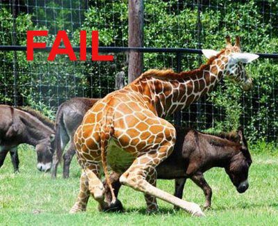 FAIL - неудача