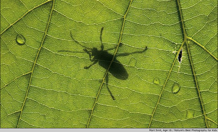 Лучшие детские Nature's Best Photography