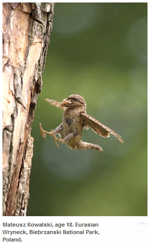 Лучшие детские Nature's Best Photography