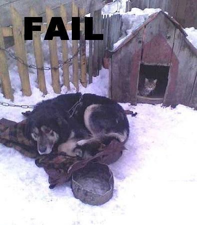 FAIL - с англ. неудача