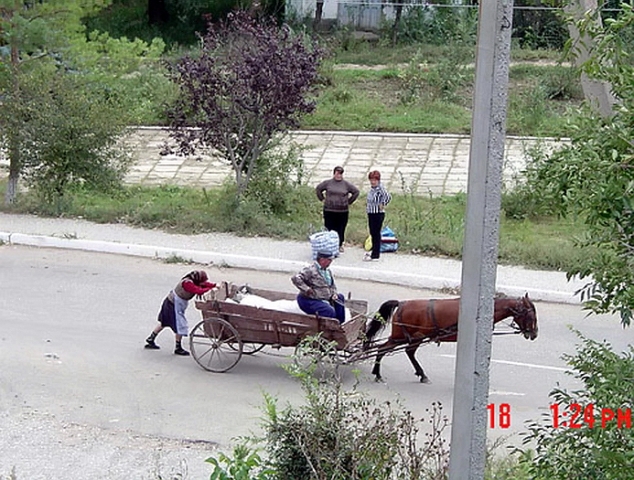 Фото приколы дня