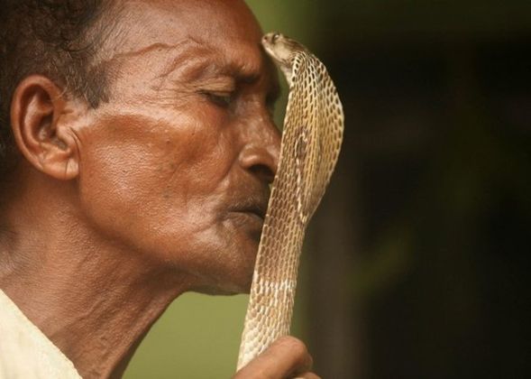 Фестиваль заклинателей змей в Индии