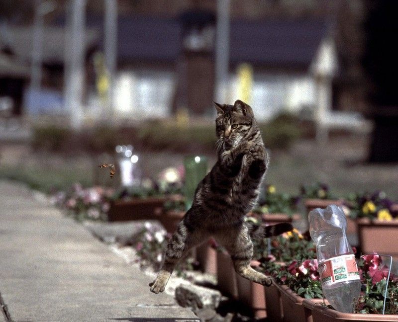 Фото приколы дня