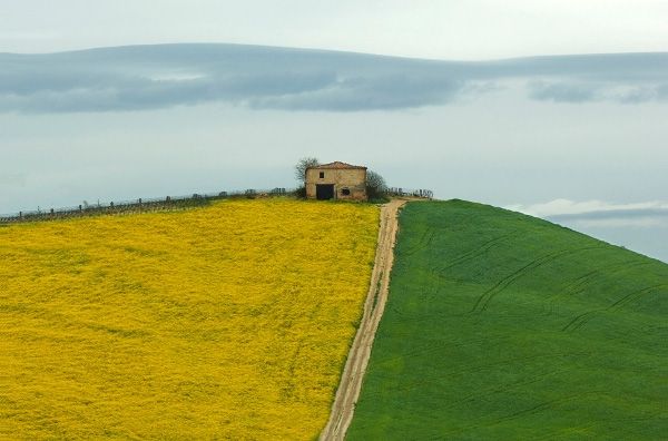 Фото приколы дня