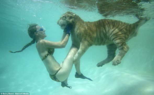 Укротительницы подводных тигров