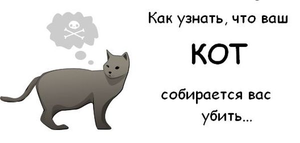 Узнай, хочет ли твой кот убить тебя? :)