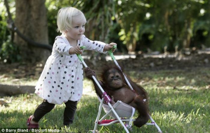 Девочка и обезьяна подружились. Море позитива :)
