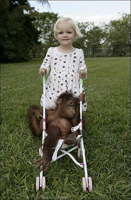 Девочка и обезьяна подружились. Море позитива :)