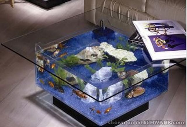 Необычные аквариумы