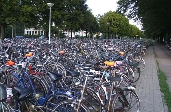 Велосипеды на паркове :)