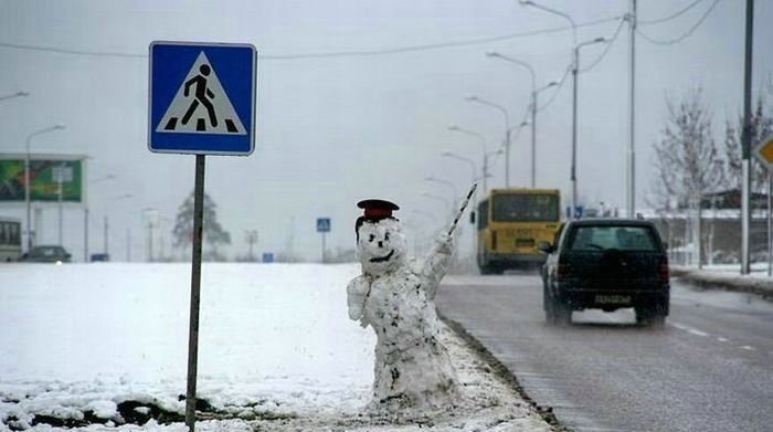 Фото приколы дня