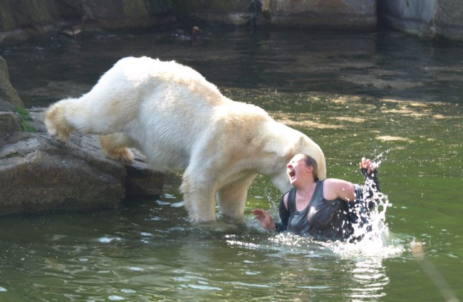 В Берлинском зоопарке женщина прыгнула в вольер к медведям
