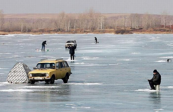 Фото приколы дня