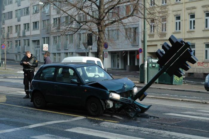 Фото приколы дня