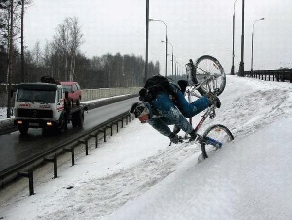 Фото приколы дня