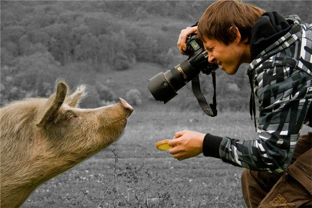 Фото приколы дня