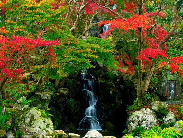 Япония в ярких красках