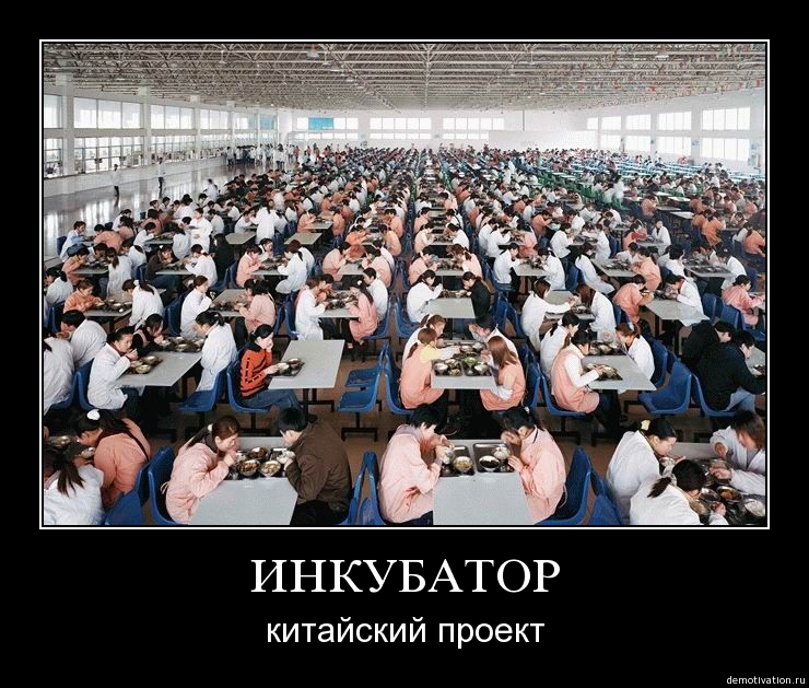 Новые демотиваторы