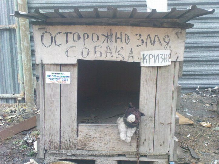 Кризисный пес :)