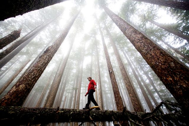 Лучшие фото от National Geographic